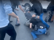 Протесты в Нью-Йорке после рейда агентов ICE на уличных торговцев в Чайнатауне из-за предполагаемой торговли поддельными товарами