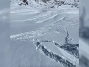 В Колорадо зафиксирована первая лавина, вызванная лыжником, в сезоне
