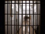 Четвертый узник умер в тюремной системе Массачусетса за месяц